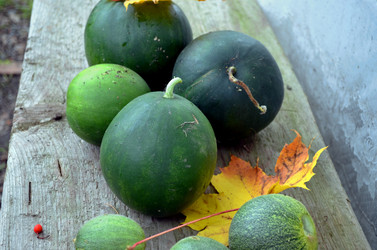 Similar image 22332994