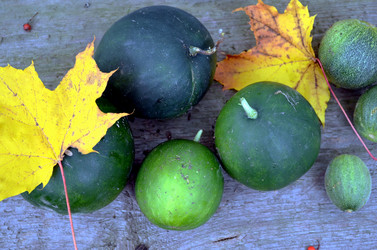 Similar image 22332995