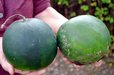 Similar image 22332996