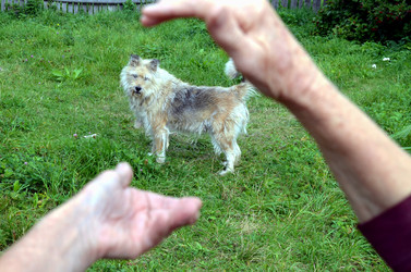 Similar image 22332998