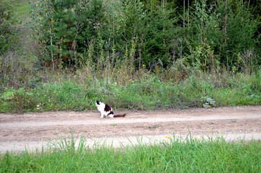 Similar image 22332999