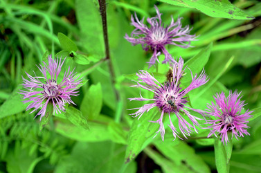 Similar image 22333001