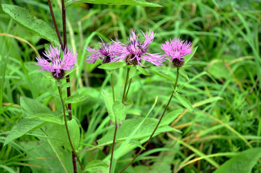 Similar image 22333002