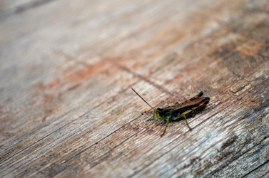 Similar image 22333003