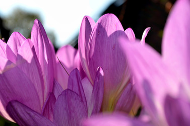 Similar image 22333004