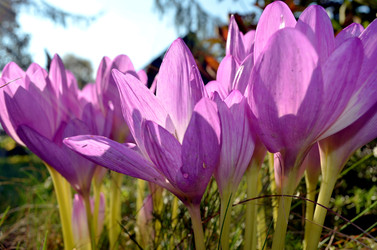 Similar image 22333005