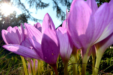 Similar image 22333006