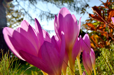 Similar image 22333007