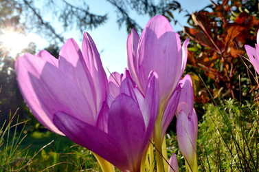 Similar image 22333008