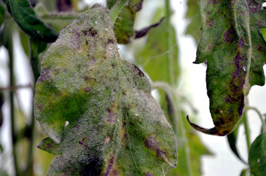 Similar image 22333010