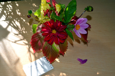 Similar image 22333011