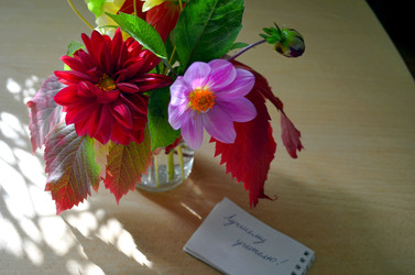 Similar image 22333012