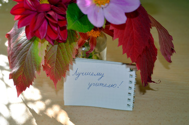 Similar image 22333013