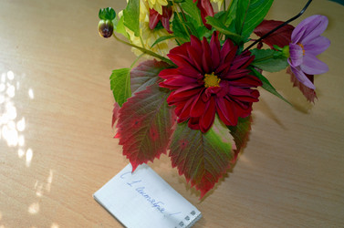 Similar image 22333014