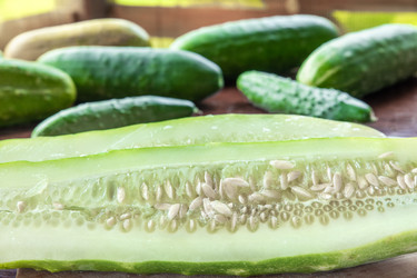 Similar image 22332318