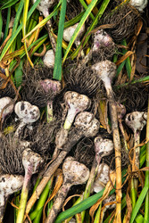 Similar image 22332320