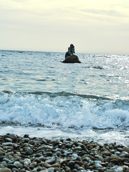 Similar image 22333043