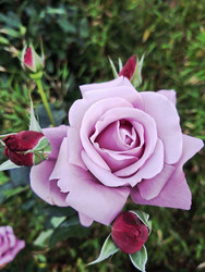 Similar image 22333045