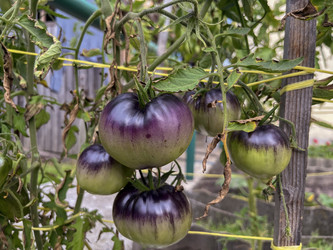 Similar image 22333149