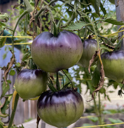 Similar image 22333150