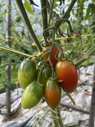 Similar image 22333151