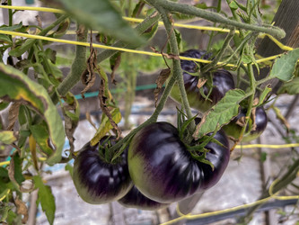 Similar image 22333152