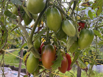 Similar image 22333154