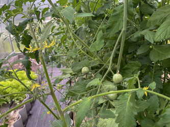 Similar image 22333155