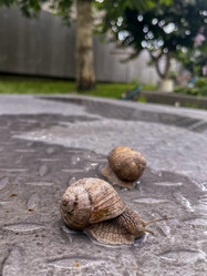 Similar image 22333156