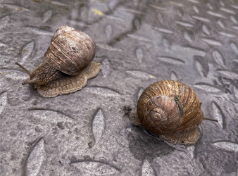 Similar image 22333157