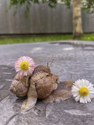 Similar image 22333158