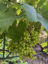 Similar image 22333164