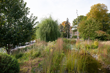 Similar image 22333046