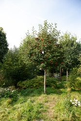 Similar image 22333050