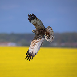 Similar image 22333104