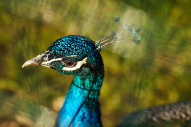 Similar image 22306512