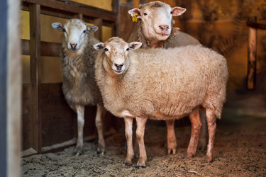 Similar image 22306439