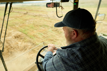 Similar image 22304599