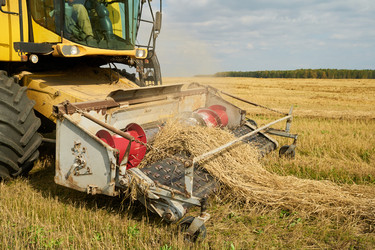 Similar image 22304591