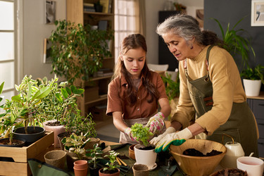 Similar image 22304496