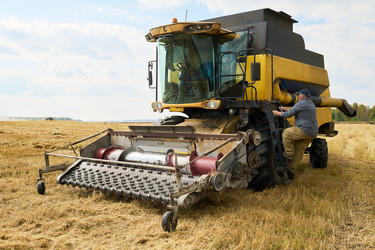 Similar image 22304739