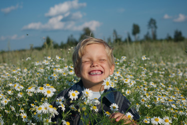 Similar image 22306711