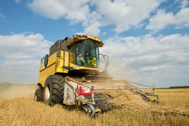 Similar image 22304587