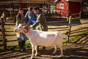 Similar image 22306477