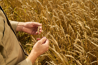 Similar image 22304615