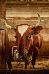 Similar image 22303209