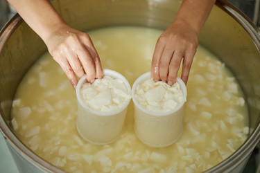 Similar image 22303136