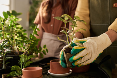 Similar image 22304575