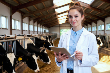 Similar image 22308160