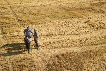 Similar image 22304744